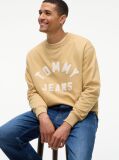 Beige Classic Logo Brushed Fleece Relaxed Sweatshirt  Men