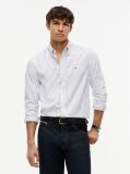 Multi Regular Fit Flex Stripe Shirt  Men