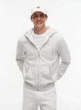 Grey Regular Hoody Zip Thru  Men