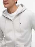 Grey Regular Hoody Zip Thru  Men