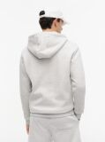 Grey Regular Hoody Zip Thru  Men