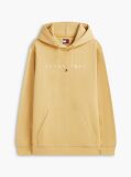 Beige Regular Logo Hoody  Men