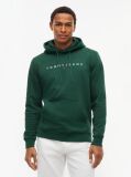 Green Regular Logo Hoody  Men