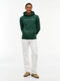 Green Regular Logo Hoody  Men