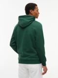 Green Regular Logo Hoody  Men