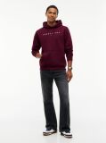 Purple Regular Logo Hoody  Men