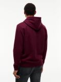 Purple Regular Logo Hoody  Men