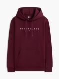 Purple Regular Logo Hoody  Men