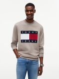 Brown Regular Tonal Flag Crew Neck Sweatshirt  Men