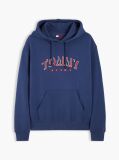 Blue Logo Relaxed Sueded Terry Hoody  Men