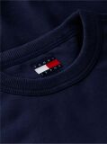 Blue Back Wavy Flag Terry Relaxed Sweatshirt  Men