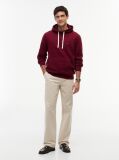 Red Flag Embroidery Fleece Hoody  Men