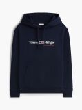 Blue Logo Fleece Drawstring Hoody  Men