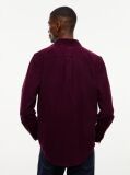 Purple Regular Fit Button-Down Corduroy Shirt  Men