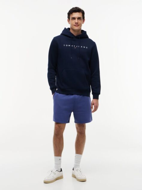 Blue Regular Logo Hoody  Men