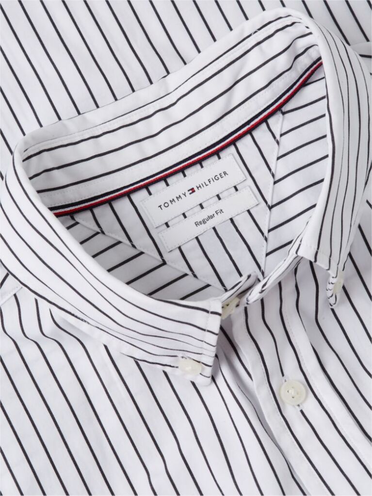 Multi Regular Fit Flex Stripe Shirt  Men