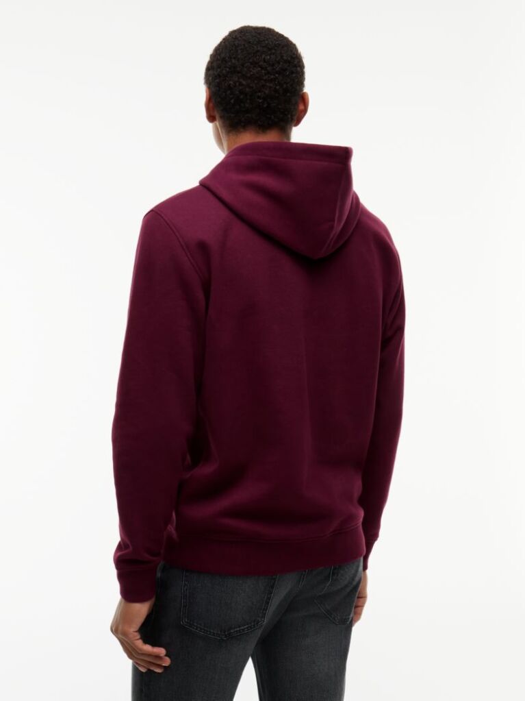 Purple Regular Logo Hoody  Men