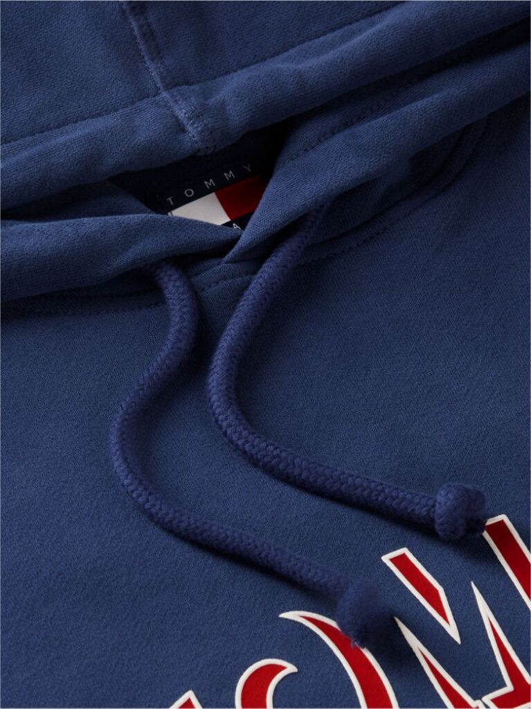 Blue Logo Relaxed Sueded Terry Hoody  Men